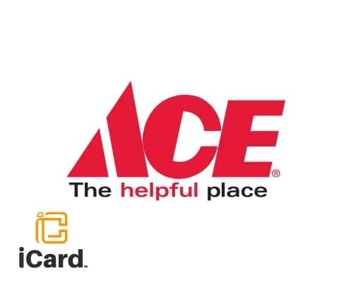 بطاقة هدايا ACE 300 درهم إماراتي (الإمارات)